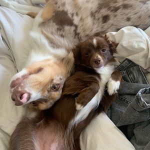 Meet your Posher, Katie